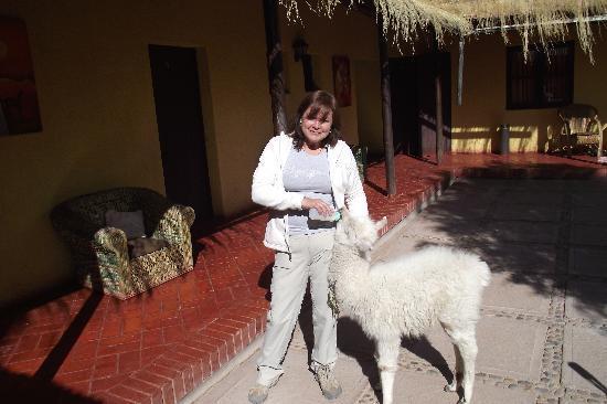 Pachamama Hostel & Tour Putre Exterior photo